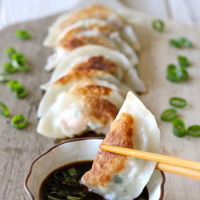 Chicken Dumplings